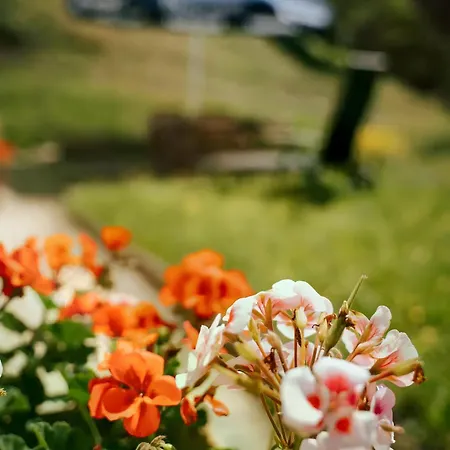 Baestenbach Appartement *