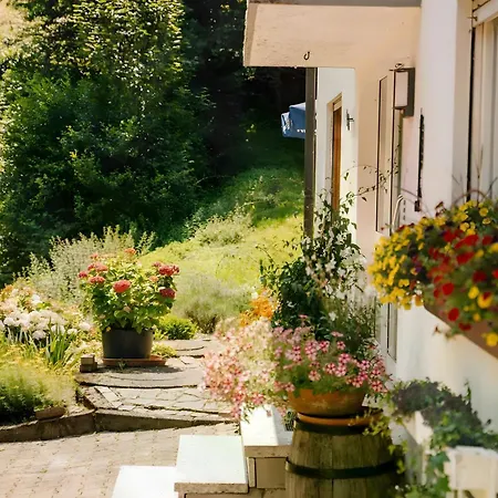 Baestenbach Appartamento