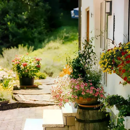 Apartmán Baestenbach Bad Peterstal-Griesbach