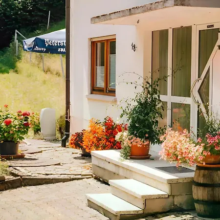 Baestenbach Bad Peterstal-Griesbach