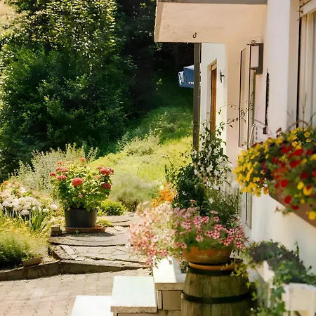 Apartmán Baestenbach Bad Peterstal-Griesbach