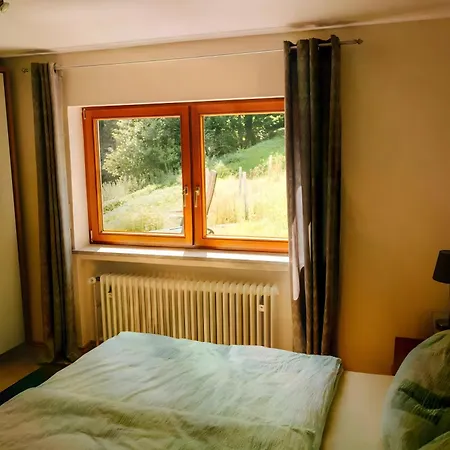 Baestenbach Apartmán Bad Peterstal-Griesbach